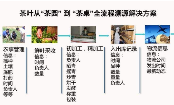 茶叶加工流程溯源系统解决方案